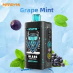 MerryMi Blade 30000 Puffs příchuť Grape Mint s hrozny a čerstvou mátou